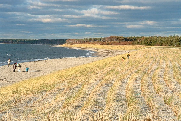 Luftbild Zingst